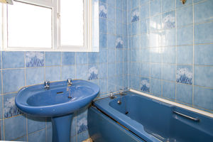 Photo 11- click for photo gallery